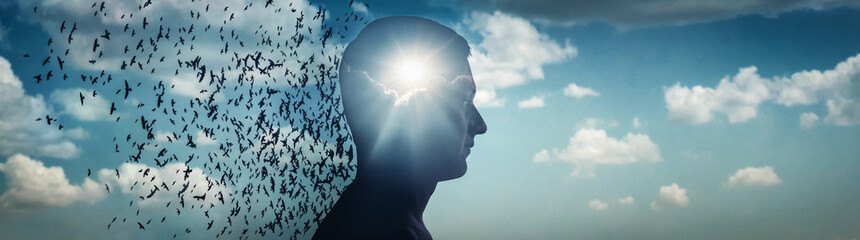 Silhouette of a man against a sky, sun and a flock of birds. Ideas on emotion or psychology, philosophical and scientific concepts. Psychiatry and psychology symbol. - obrazy, fototapety, plakaty