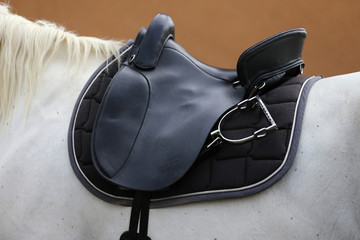 Photo of a sport horse during dressage competition under saddle