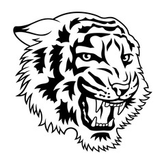 Tiger 021