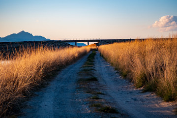 Trail to the train tracks