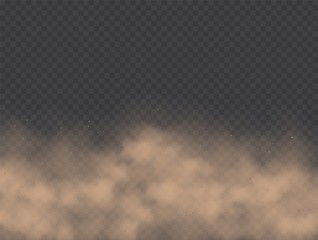 Dust cloud, road dirt, brown sandstorm explosion in desert concept. Dirty sandy cloud isolated on a transparent background. Vector illustration.