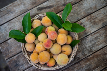 Close up peachs fruit on wood table.
