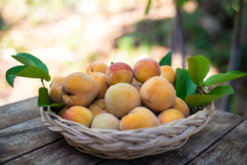 Close up peachs fruit on wood table.