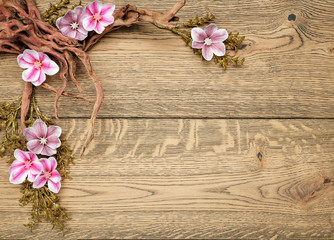 Obraz na płótnie Canvas Orchid flowers on wood background with wood branch, place for text