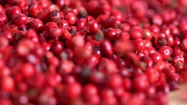 Food spices pink peppercorns red pepper Himalayan pepper berries. concept of fresh and dietary spices for cooking schools vegans and dietary products
