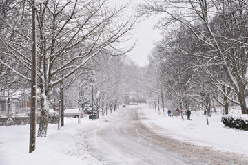 after the snow storm