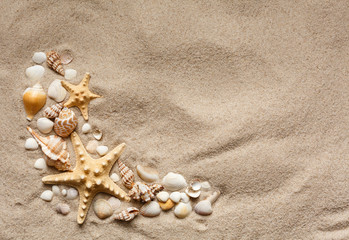 Fototapeta na wymiar Beautiful seashells on sand beach. Summer holidays travel concept.