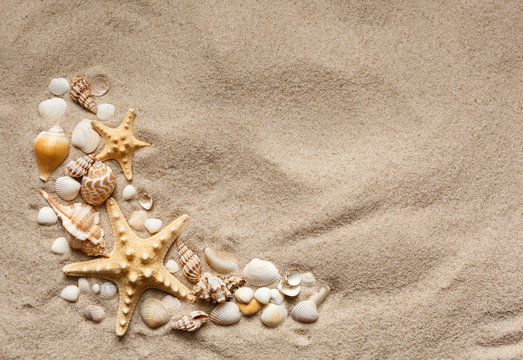 Beautiful seashells on sand beach. Summer holidays travel concept.