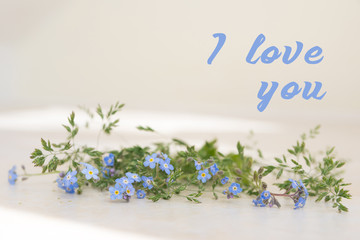 Fototapeta premium Postcard with the inscription 