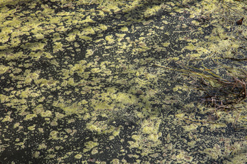 textura