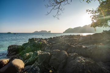 Phi phi, Thailand - January, 2020: Longtail boats in Maya Bay Phi Phi Leh, Krabi, Thailand