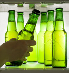 Green beer bottles chilled in drops of water on a shelf in the refrigerator. Hand takes the bottle.