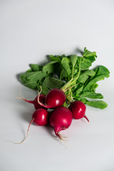group of radishes on white background (Raphanus sativus)