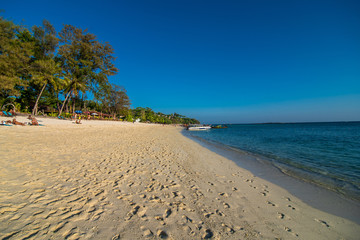 Phi phi, Thailand - January, 2020: Longtail boats in Maya Bay Phi Phi Leh, Krabi, Thailand