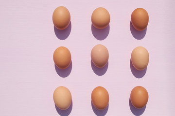 Chicken eggs on a pink background with sunlight and shadows