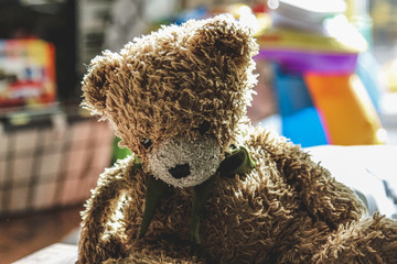 Teddy Bear in child's Bedroom