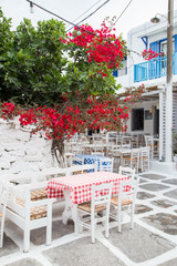 Beautiful Mykonos island detail, Greece 