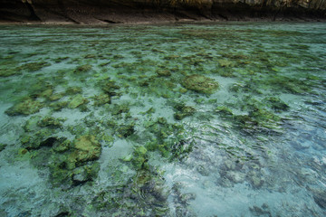 Pileh blue lagoon at phi phi island, Thailand.