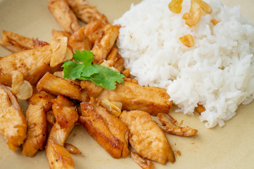 Fried meat chicken with black pepper and Garlic sauce oserved with Thai jasmine rice on the plate. isolated on white background.In Thai it call 