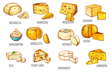 Cheese types sketch, dairy food products icons