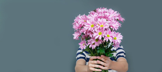 A young teenager in a striped t-shirt holding a bouquet of beautiful chrysanthemums covering his face. Isolated gray background, copy space, greeting card for grandma's Day, women's day. Banner.