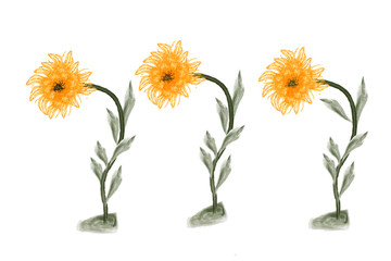 Three sunflowers