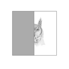 portrait of ambitious harsh owl in gray
