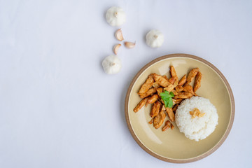 Fried meat chicken with black pepper and Garlic sauce oserved with Thai jasmine rice on the plate. isolated on white background.In Thai it call 