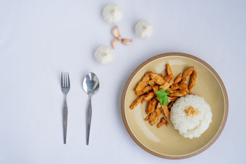 Fried meat chicken with black pepper and Garlic sauce oserved with Thai jasmine rice on the plate. isolated on white background.In Thai it call 
