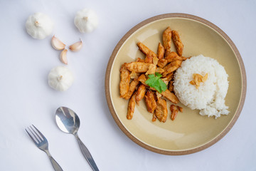 Fried meat chicken with black pepper and Garlic sauce oserved with Thai jasmine rice on the plate. isolated on white background.In Thai it call 