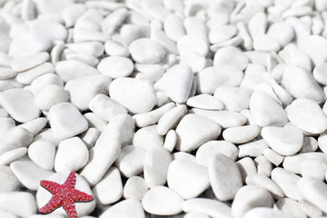 a red starfish on white small stones background on the beach