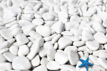 a blue starfish on white small stones background on the beach