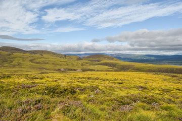 Colorful scottish Highlands at the Cairngorms