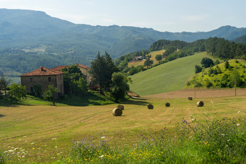 Summer landscape near Bagno di Romagna, in the Appennino