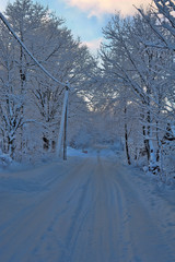 winter road in the village
