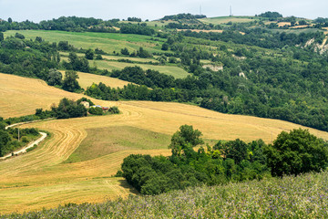 Fototapeta na wymiar Summer landscape near Meldola, in the Appennino