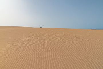 sand dunes in the sahara desert