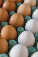 Degradê de ovos na bandeja. Foto vertical