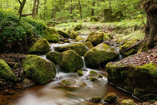 Stream Through Rocks In Rainforest