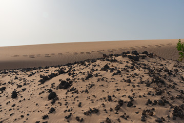 Fototapeta na wymiar sand dunes in the sahara desert