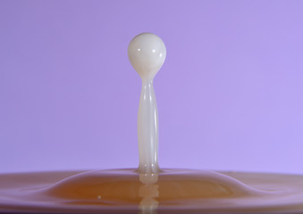 gotas de leche estallando y salpicando en el plato