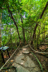 Beautiful view with blue sky and clouds at sunset on Similan island, Similan No.8 at Similan national park, Phuket, Thailand