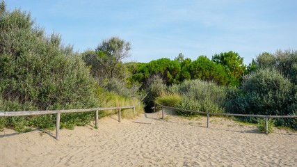 Obraz premium Eraclea Mare Beach