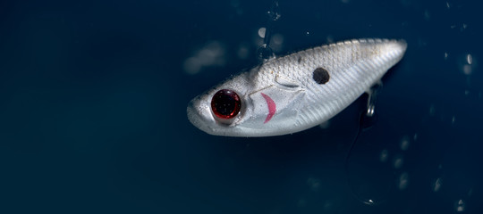 Fishing bait underwater in blue clear water.