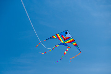 kite flying in the sky