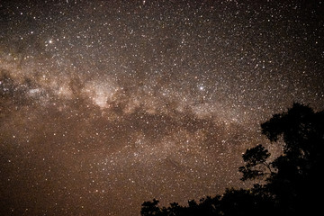 night sky in Reserva Natural El Pantanoso