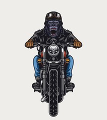 Cruel gorilla head biker © DGIM studio