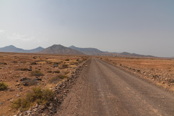Surfers paradise island of the carnivals of Fuerteventura
