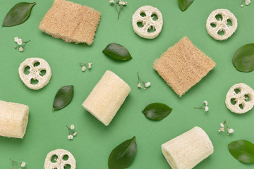 Loofah sponges and plant leaves on a green background. Zero waste pattern.