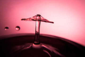 Moody water droplet splash mushrooms